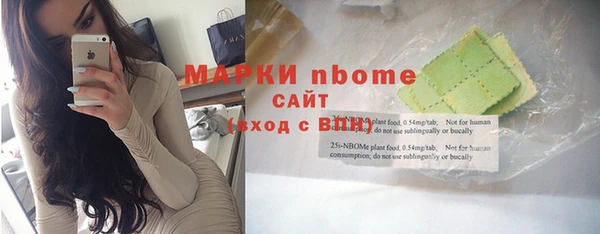 хмурый Белокуриха