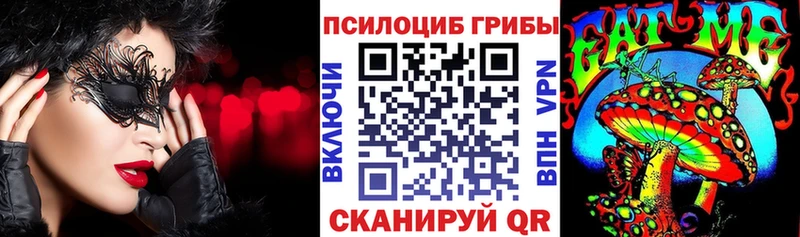 Купить закладки  Судогда  Псилоцибиновые грибы мицелий 