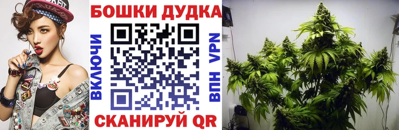 Бошки марихуана MAZAR  Купить где  Судогда 